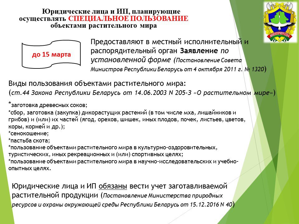 photo 2026 02 09 17 19 29