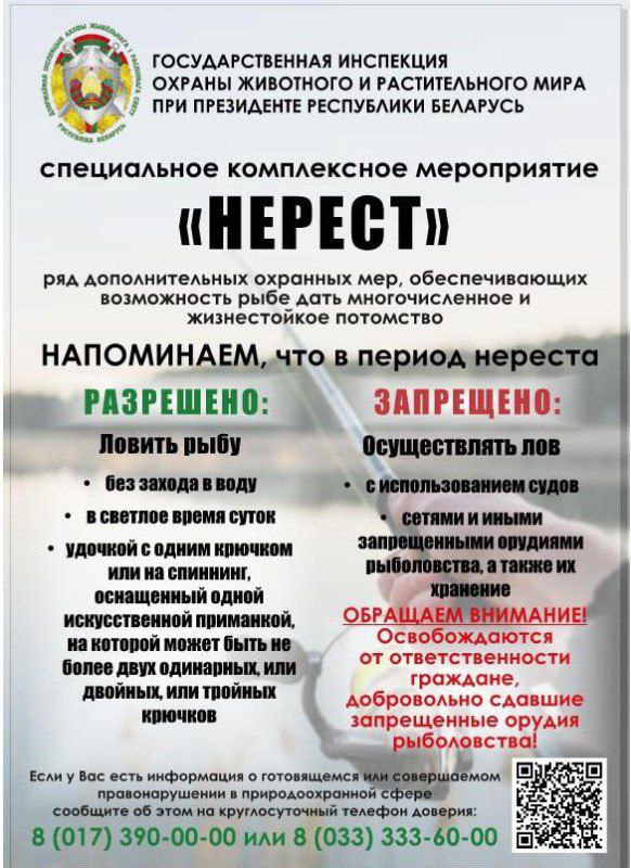 photo 2026 03 16 17 43 33