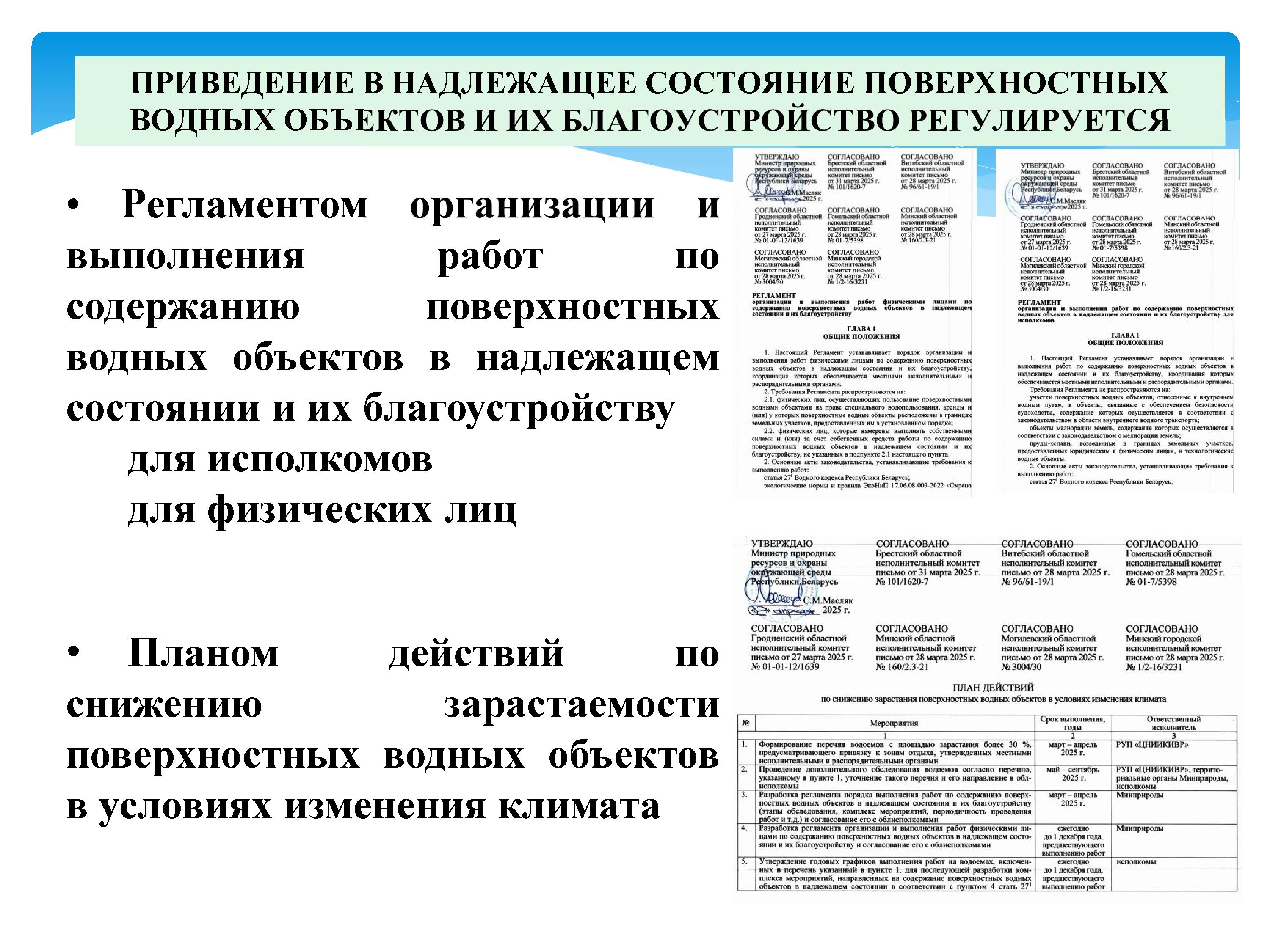 2393_-_0003.jpg