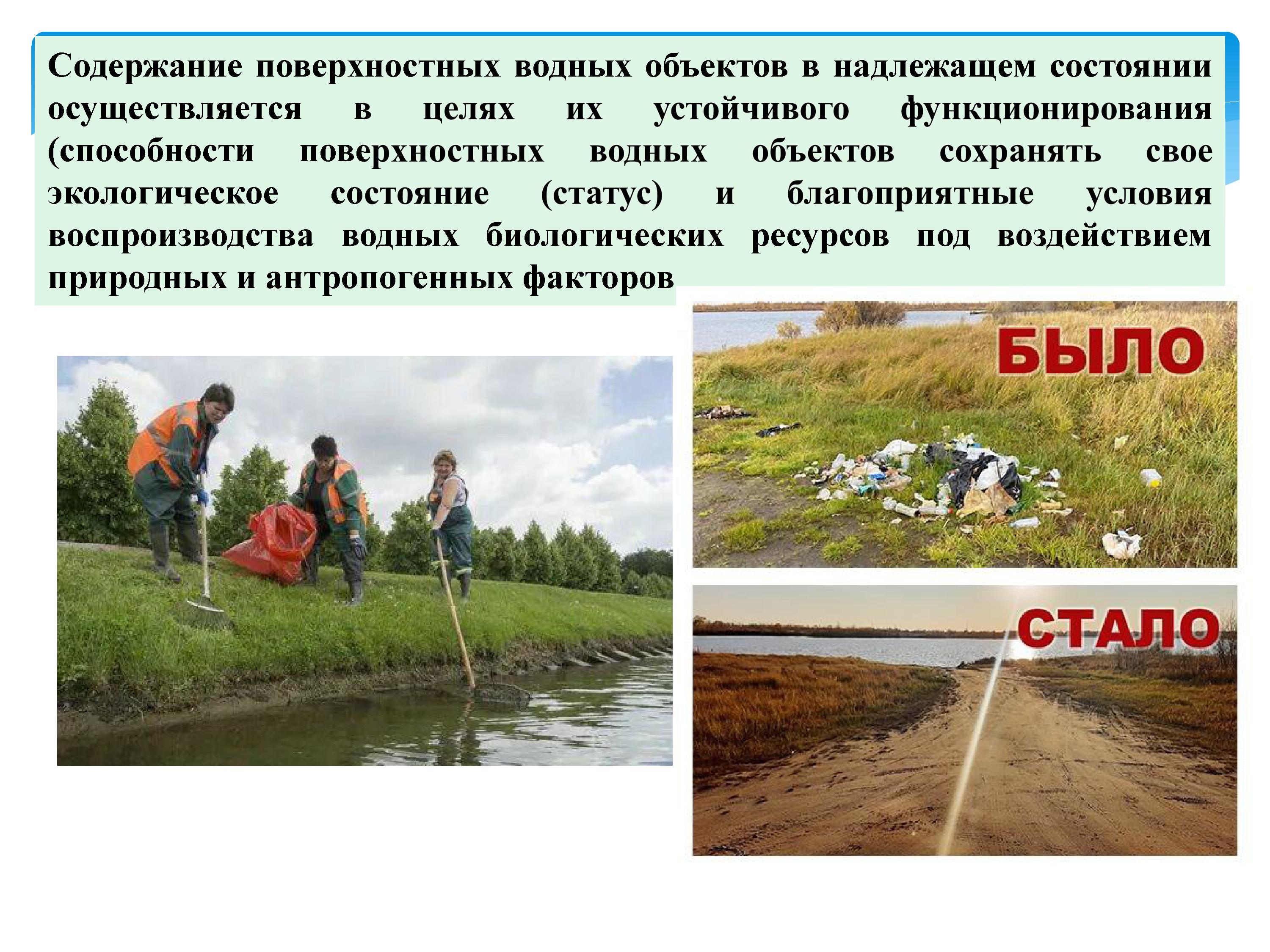 2393_-_0004.jpg