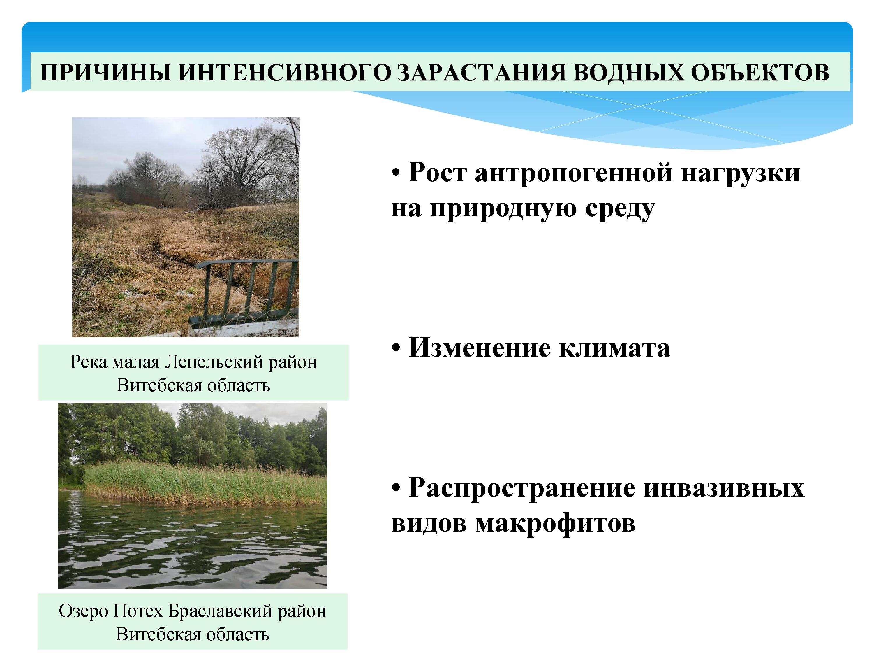 2393_-_0031.jpg