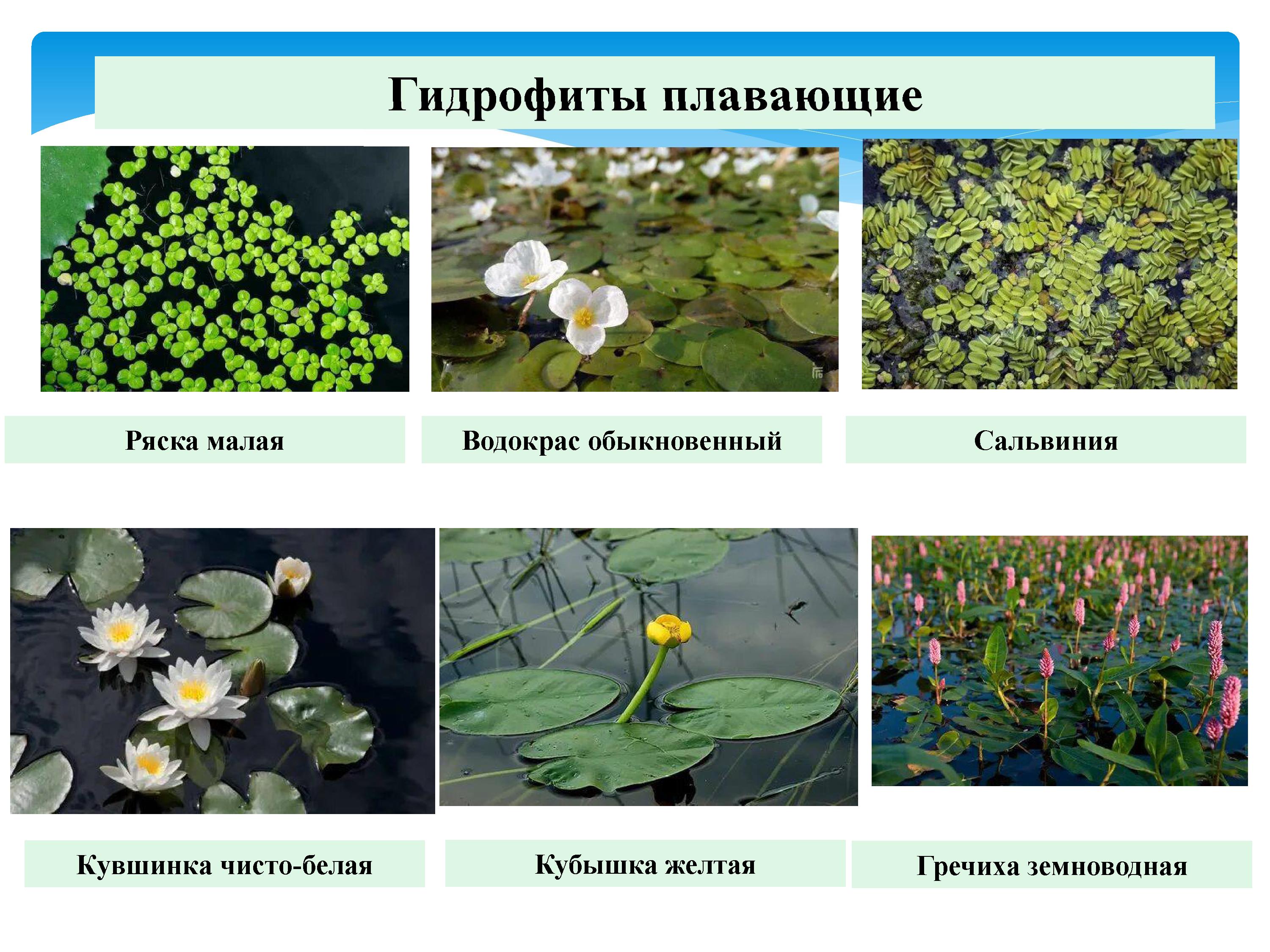 2393_-_0035.jpg