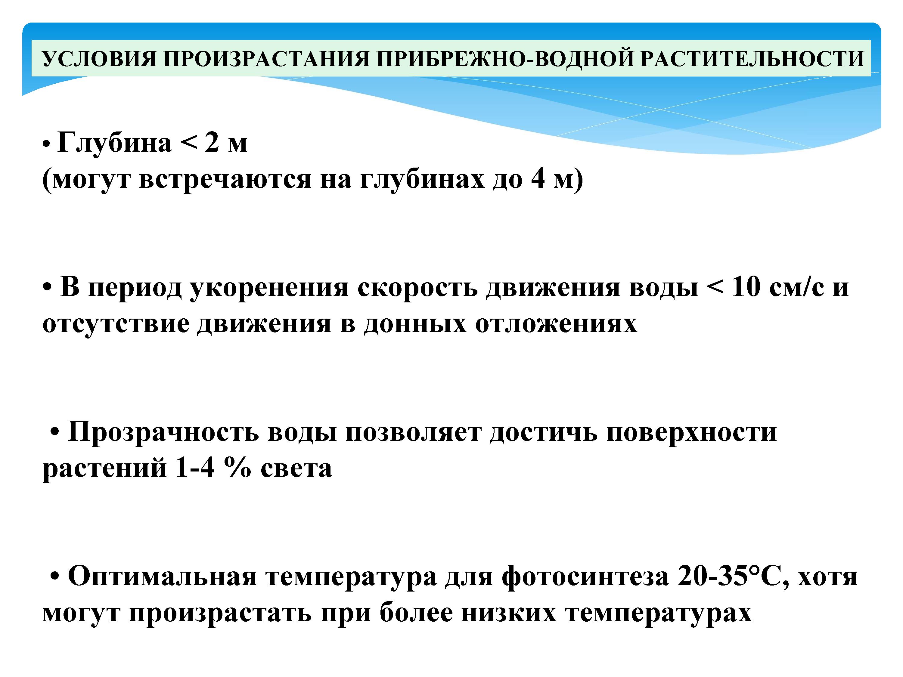 2393_-_0043.jpg