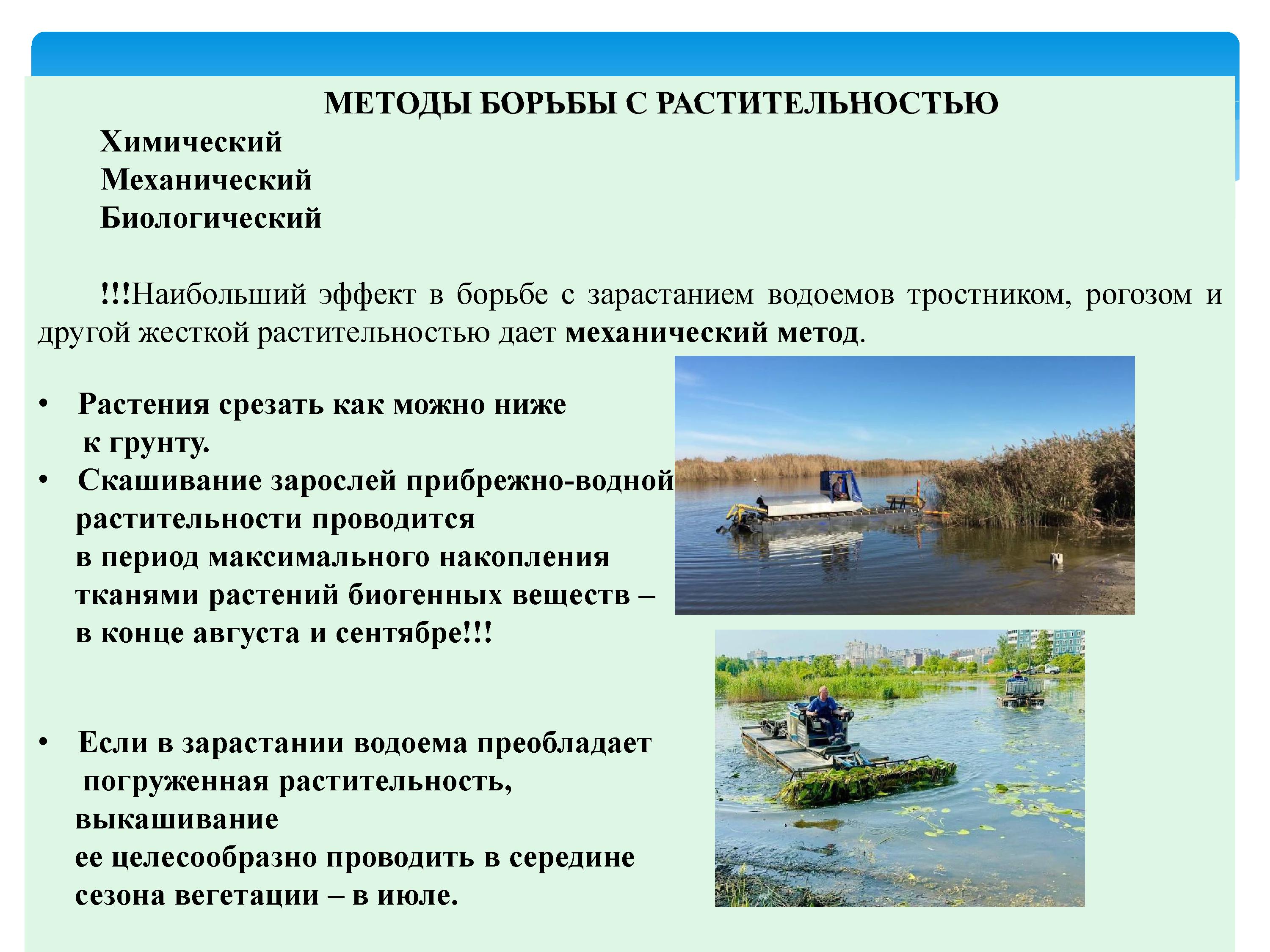 2393_-_0044.jpg