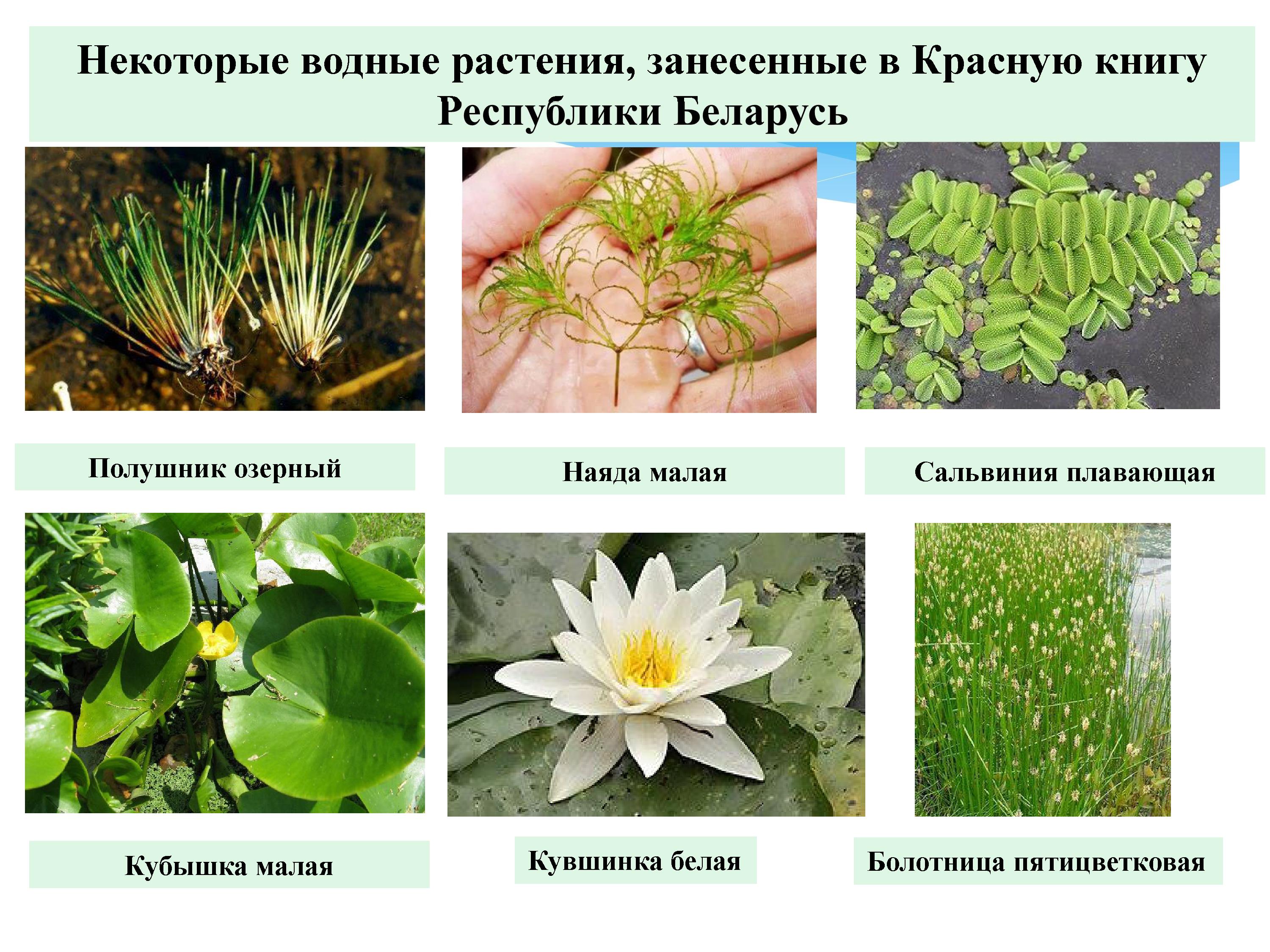 2393_-_0049.jpg