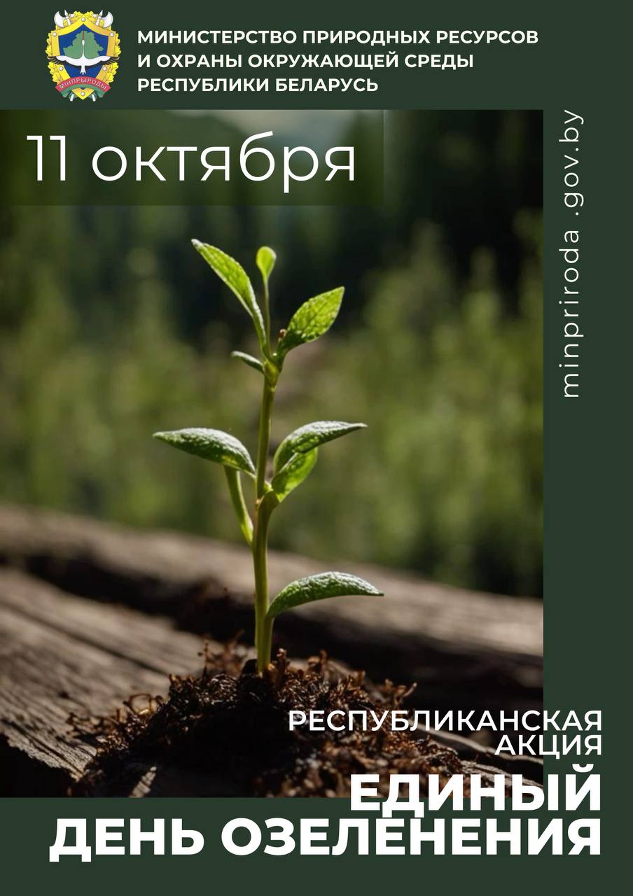 photo 2025 09 06 18 32 56