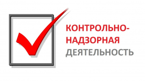 Результаты контрольной деятельности за 7 месяцев