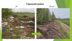 О контроле за соблюдением природоохранного законодательства