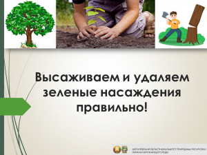 Высаживаем и удаляем зеленые насаждения правильно
